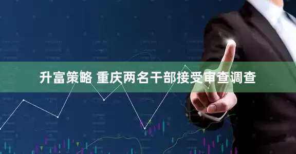 升富策略 重庆两名干部接受审查调查