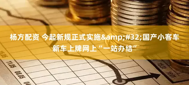 杨方配资 今起新规正式实施&#32;国产小客车新车上牌网上“一站办结”