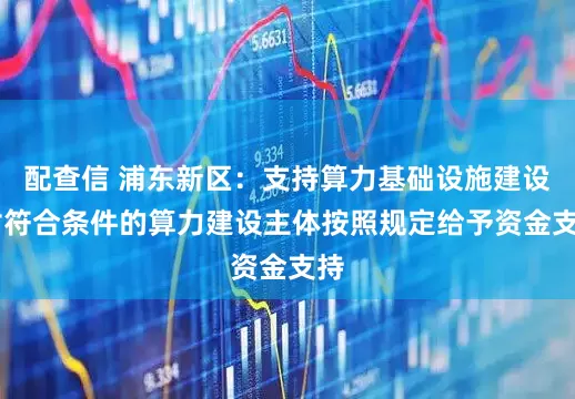 配查信 浦东新区：支持算力基础设施建设 对符合条件的算力建设主体按照规定给予资金支持